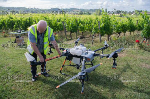 FRANCE, GIRONDE, SAINT-ETIENNE-DE-LISSE, DEMONSTRATION DE PULVERISATION EN DRONE DE PRODUITS PHYTOSANITAIRE AU CHATEAU MANGOT, AOC SAINT-EMILION, VIGNOBLE BORDELAIS, NOUVELLE-AQUITAINE (200610NADEAU_007.jpg)