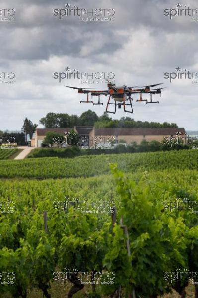 FRANCE, GIRONDE, SAINT-ETIENNE-DE-LISSE, DEMONSTRATION DE PULVERISATION EN DRONE DE PRODUITS PHYTOSANITAIRE AU CHATEAU MANGOT, AOC SAINT-EMILION, VIGNOBLE BORDELAIS, NOUVELLE-AQUITAINE (200610NADEAU_008.jpg)