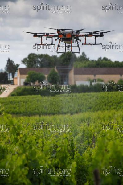 FRANCE, GIRONDE, SAINT-ETIENNE-DE-LISSE, DEMONSTRATION DE PULVERISATION EN DRONE DE PRODUITS PHYTOSANITAIRE AU CHATEAU MANGOT, AOC SAINT-EMILION, VIGNOBLE BORDELAIS, NOUVELLE-AQUITAINE (200610NADEAU_009.jpg)