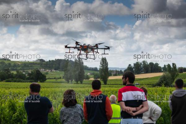 FRANCE, GIRONDE, SAINT-ETIENNE-DE-LISSE, DEMONSTRATION DE PULVERISATION EN DRONE DE PRODUITS PHYTOSANITAIRE AU CHATEAU MANGOT, AOC SAINT-EMILION, VIGNOBLE BORDELAIS, NOUVELLE-AQUITAINE (200610NADEAU_010.jpg)