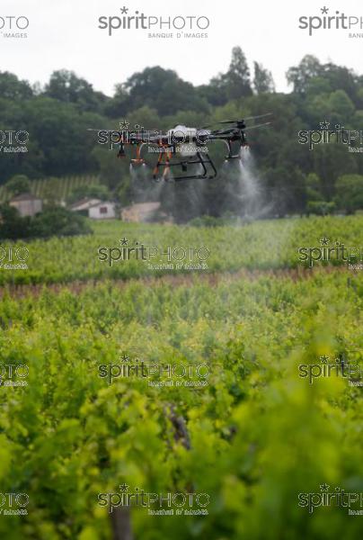 FRANCE, GIRONDE, SAINT-ETIENNE-DE-LISSE, DEMONSTRATION DE PULVERISATION EN DRONE DE PRODUITS PHYTOSANITAIRE AU CHATEAU MANGOT, AOC SAINT-EMILION, VIGNOBLE BORDELAIS, NOUVELLE-AQUITAINE (200610NADEAU_011.jpg)