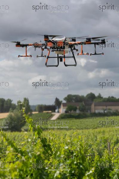 FRANCE, GIRONDE, SAINT-ETIENNE-DE-LISSE, DEMONSTRATION DE PULVERISATION EN DRONE DE PRODUITS PHYTOSANITAIRE AU CHATEAU MANGOT, AOC SAINT-EMILION, VIGNOBLE BORDELAIS, NOUVELLE-AQUITAINE (200610NADEAU_014.jpg)