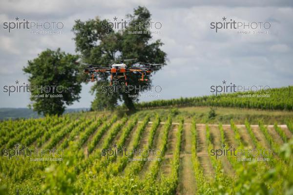 FRANCE, GIRONDE, SAINT-ETIENNE-DE-LISSE, DEMONSTRATION DE PULVERISATION EN DRONE DE PRODUITS PHYTOSANITAIRE AU CHATEAU MANGOT, AOC SAINT-EMILION, VIGNOBLE BORDELAIS, NOUVELLE-AQUITAINE (200610NADEAU_015.jpg)