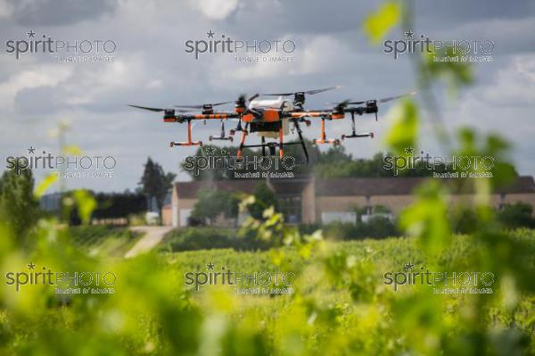 FRANCE, GIRONDE, SAINT-ETIENNE-DE-LISSE, DEMONSTRATION DE PULVERISATION EN DRONE DE PRODUITS PHYTOSANITAIRE AU CHATEAU MANGOT, AOC SAINT-EMILION, VIGNOBLE BORDELAIS, NOUVELLE-AQUITAINE (200610NADEAU_019.jpg)