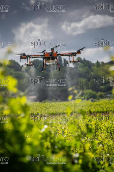 FRANCE, GIRONDE, SAINT-ETIENNE-DE-LISSE, DEMONSTRATION DE PULVERISATION EN DRONE DE PRODUITS PHYTOSANITAIRE AU CHATEAU MANGOT, AOC SAINT-EMILION, VIGNOBLE BORDELAIS, NOUVELLE-AQUITAINE (200610NADEAU_024.jpg)