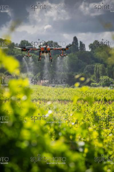 FRANCE, GIRONDE, SAINT-ETIENNE-DE-LISSE, DEMONSTRATION DE PULVERISATION EN DRONE DE PRODUITS PHYTOSANITAIRE AU CHATEAU MANGOT, AOC SAINT-EMILION, VIGNOBLE BORDELAIS, NOUVELLE-AQUITAINE (200610NADEAU_026.jpg)