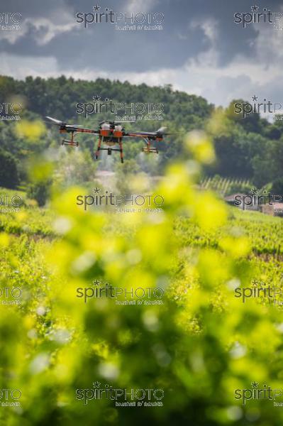 FRANCE, GIRONDE, SAINT-ETIENNE-DE-LISSE, DEMONSTRATION DE PULVERISATION EN DRONE DE PRODUITS PHYTOSANITAIRE AU CHATEAU MANGOT, AOC SAINT-EMILION, VIGNOBLE BORDELAIS, NOUVELLE-AQUITAINE (200610NADEAU_027.jpg)