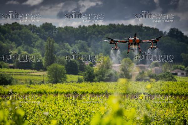 FRANCE, GIRONDE, SAINT-ETIENNE-DE-LISSE, DEMONSTRATION DE PULVERISATION EN DRONE DE PRODUITS PHYTOSANITAIRE AU CHATEAU MANGOT, AOC SAINT-EMILION, VIGNOBLE BORDELAIS, NOUVELLE-AQUITAINE (200610NADEAU_030.jpg)