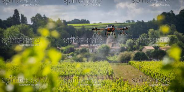 FRANCE, GIRONDE, SAINT-ETIENNE-DE-LISSE, DEMONSTRATION DE PULVERISATION EN DRONE DE PRODUITS PHYTOSANITAIRE AU CHATEAU MANGOT, AOC SAINT-EMILION, VIGNOBLE BORDELAIS, NOUVELLE-AQUITAINE (200610NADEAU_032.jpg)