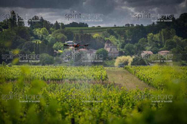 FRANCE, GIRONDE, SAINT-ETIENNE-DE-LISSE, DEMONSTRATION DE PULVERISATION EN DRONE DE PRODUITS PHYTOSANITAIRE AU CHATEAU MANGOT, AOC SAINT-EMILION, VIGNOBLE BORDELAIS, NOUVELLE-AQUITAINE (200610NADEAU_033.jpg)