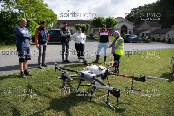 FRANCE, GIRONDE, SAINT-ETIENNE-DE-LISSE, DEMONSTRATION DE PULVERISATION EN DRONE DE PRODUITS PHYTOSANITAIRE AU CHATEAU MANGOT, AOC SAINT-EMILION, VIGNOBLE BORDELAIS, NOUVELLE-AQUITAINE (200610NADEAU_036.jpg)