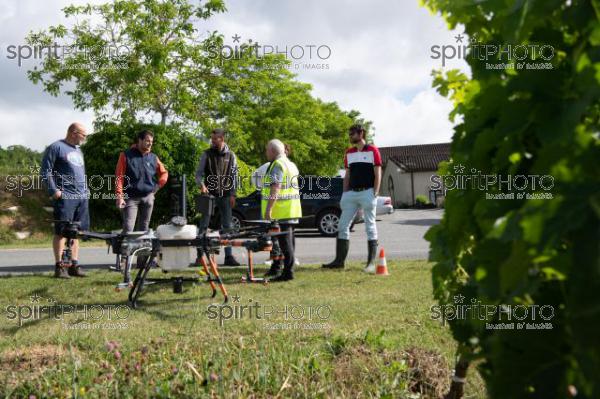 FRANCE, GIRONDE, SAINT-ETIENNE-DE-LISSE, DEMONSTRATION DE PULVERISATION EN DRONE DE PRODUITS PHYTOSANITAIRE AU CHATEAU MANGOT, AOC SAINT-EMILION, VIGNOBLE BORDELAIS, NOUVELLE-AQUITAINE (200610NADEAU_037.jpg)