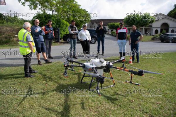 FRANCE, GIRONDE, SAINT-ETIENNE-DE-LISSE, DEMONSTRATION DE PULVERISATION EN DRONE DE PRODUITS PHYTOSANITAIRE AU CHATEAU MANGOT, AOC SAINT-EMILION, VIGNOBLE BORDELAIS, NOUVELLE-AQUITAINE (200610NADEAU_040.jpg)