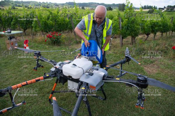 FRANCE, GIRONDE, SAINT-ETIENNE-DE-LISSE, DEMONSTRATION DE PULVERISATION EN DRONE DE PRODUITS PHYTOSANITAIRE AU CHATEAU MANGOT, AOC SAINT-EMILION, VIGNOBLE BORDELAIS, NOUVELLE-AQUITAINE (200610NADEAU_041.jpg)