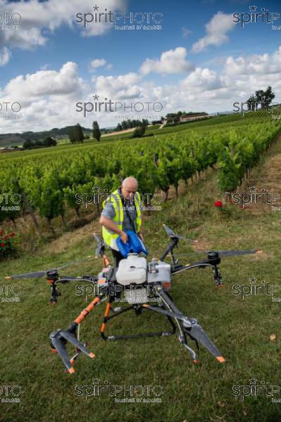 FRANCE, GIRONDE, SAINT-ETIENNE-DE-LISSE, DEMONSTRATION DE PULVERISATION EN DRONE DE PRODUITS PHYTOSANITAIRE AU CHATEAU MANGOT, AOC SAINT-EMILION, VIGNOBLE BORDELAIS, NOUVELLE-AQUITAINE (200610NADEAU_044.jpg)