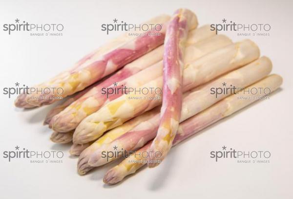 ASPERGES BLANCHES DES LANDES (40) //  FRANCE, RAW ORGANIC WHITE ASPARAGUS SPEARS READY TO EAT, LANDES (40) (200925JBNadeau_00061.jpg)