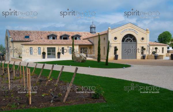 Chateau TrotteVieille, Premier Grand Cru Classé, Saint-Emilion, Gironde, France (20220428_Cephas_14.jpg)