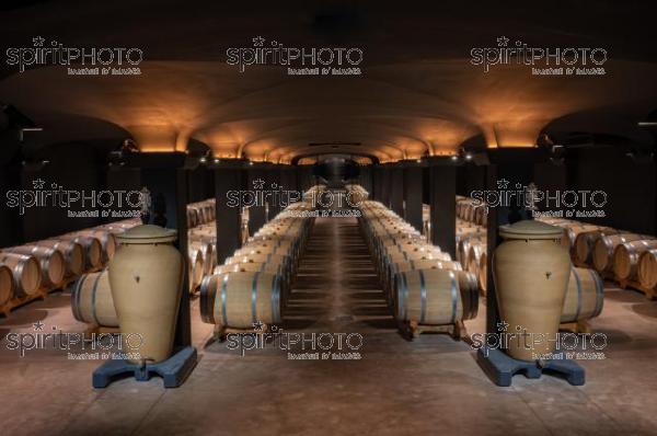Chateau TrotteVieille, Premier Grand Cru Classé, Saint-Emilion, Gironde, France (20220428_Cephas_18.jpg)