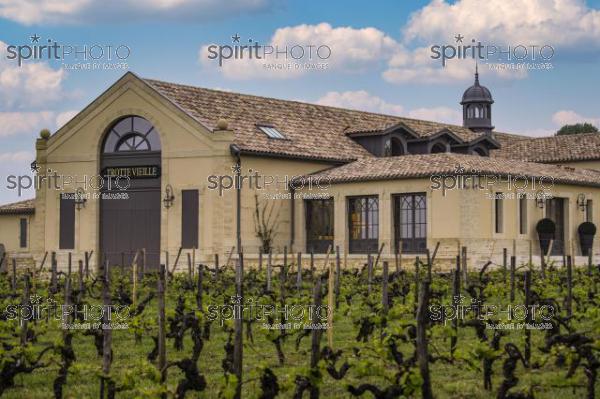 Chateau TrotteVieille, Premier Grand Cru Classé, Saint-Emilion, Gironde, France (20220428_Cephas_25.jpg)