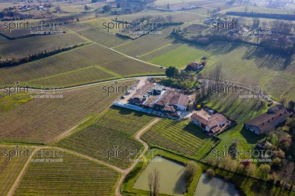 GIRONDE (33), SAINT-ETIENNE DE LISSE, VUE AERIENNE DU CHATEAU FLEUR CARDINALE, SAINT-EMILION GRAND CRU CLASSE, VIGNOBLE BORDELAIS // FRANCE, GIRONDE (33), SAINT-ETIENNE DE LISSE, AERIAL VIEW OF CHATEAU FLEUR CARDINALE, SAINT-EMILION GRAND CRU CLASSE, BORDEAUX VINEYARD (210318JBNadeau_001.jpg)