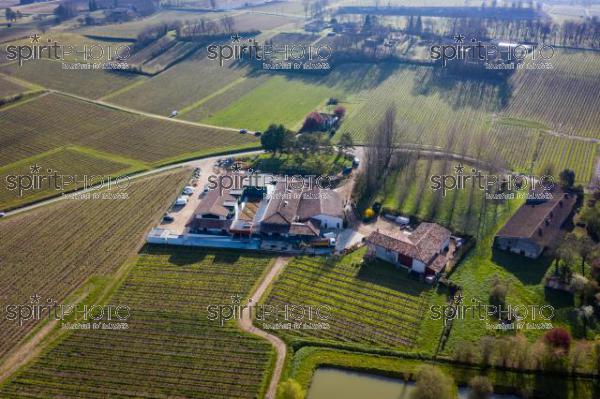 GIRONDE (33), SAINT-ETIENNE DE LISSE, VUE AERIENNE DU CHATEAU FLEUR CARDINALE, SAINT-EMILION GRAND CRU CLASSE, VIGNOBLE BORDELAIS // FRANCE, GIRONDE (33), SAINT-ETIENNE DE LISSE, AERIAL VIEW OF CHATEAU FLEUR CARDINALE, SAINT-EMILION GRAND CRU CLASSE, BORDEAUX VINEYARD (210318JBNadeau_002.jpg)