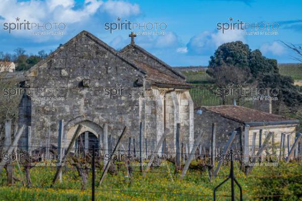 GIRONDE (33), SAINT-EMILION, CHATEAU AUSONE, VIGNE PLANTEE SUR LE ROCHER CALCAIRE ET LA CHAPELLE DES ANGES GARDIENS, 13 EME SIECLE, STYLE ROMAN, 1 ER GRAND CRU CLASSE A , AOC SAINT EMILION, VIGNOBLE DE BORDEAUX // FRANCE, GIRONDE (33), SAINT-EMILION, CHATEAU AUSONE, VINEYARD PLANT ON THE LIMESTONE ROCK AND THE CHAPEL OF THE GUARDIAN ANGELS, 13TH CENTURY, ROMAN STYLE, 1 ER GRAND CRU CLASSE A, AOC SAINT EMILION, BORDEAUX VINEYARD (210318JBNadeau_011.jpg)