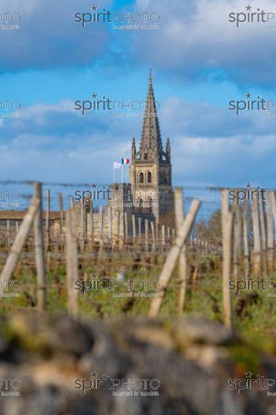 GIRONDE (33), SAINT-EMILION, VILLAGE DE SAINT-EMILION, L' EGLISE COLLEGIALE, LE CLOCHER DE L' EGLISE MONOLITHE DANS LE VIGNOBLE // FRANCE, GIRONDE (33), SAINT-EMILION, VILLAGE OF SAINT-EMILION, THE COLLEGIAL CHURCH, THE TOWER OF THE MONOLITH CHURCH IN THE VINEYARD (210318JBNadeau_012.jpg)