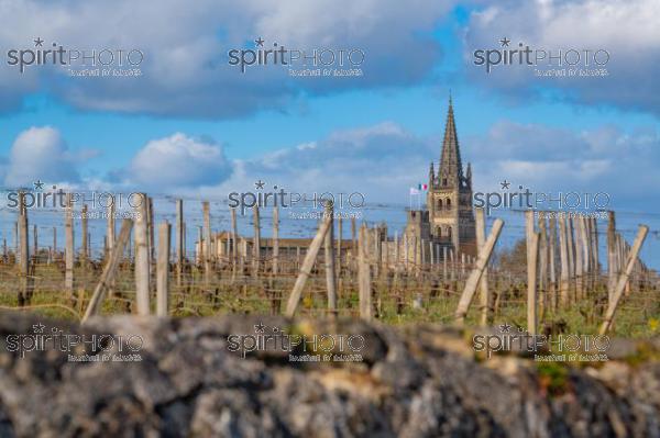 GIRONDE (33), SAINT-EMILION, VILLAGE DE SAINT-EMILION, L' EGLISE COLLEGIALE, LE CLOCHER DE L' EGLISE MONOLITHE DANS LE VIGNOBLE // FRANCE, GIRONDE (33), SAINT-EMILION, VILLAGE OF SAINT-EMILION, THE COLLEGIAL CHURCH, THE TOWER OF THE MONOLITH CHURCH IN THE VINEYARD (210318JBNadeau_013.jpg)