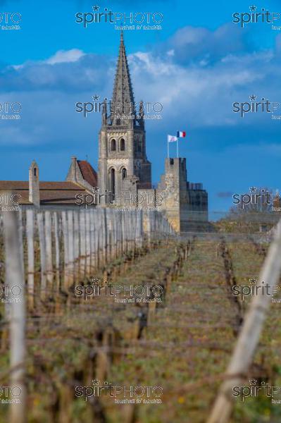 GIRONDE (33), SAINT-EMILION, VILLAGE DE SAINT-EMILION, L' EGLISE COLLEGIALE, LE CLOCHER DE L' EGLISE MONOLITHE DANS LE VIGNOBLE // FRANCE, GIRONDE (33), SAINT-EMILION, VILLAGE OF SAINT-EMILION, THE COLLEGIAL CHURCH, THE TOWER OF THE MONOLITH CHURCH IN THE VINEYARD (210318JBNadeau_022.jpg)
