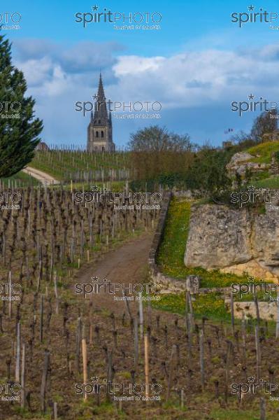 GIRONDE (33), SAINT-EMILION, VILLAGE DE SAINT-EMILION, L' EGLISE COLLEGIALE, LE CLOCHER DE L' EGLISE MONOLITHE DANS LE VIGNOBLE // FRANCE, GIRONDE (33), SAINT-EMILION, VILLAGE OF SAINT-EMILION, THE COLLEGIAL CHURCH, THE TOWER OF THE MONOLITH CHURCH IN THE VINEYARD (210318JBNadeau_032.jpg)