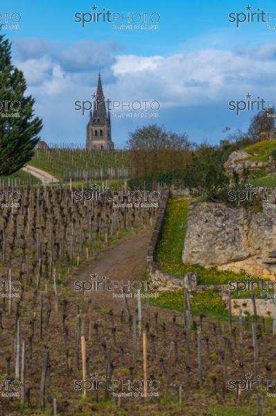 GIRONDE (33), SAINT-EMILION, VILLAGE DE SAINT-EMILION, L' EGLISE COLLEGIALE, LE CLOCHER DE L' EGLISE MONOLITHE DANS LE VIGNOBLE // FRANCE, GIRONDE (33), SAINT-EMILION, VILLAGE OF SAINT-EMILION, THE COLLEGIAL CHURCH, THE TOWER OF THE MONOLITH CHURCH IN THE VINEYARD (210318JBNadeau_032.jpg)