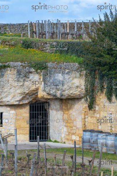 GIRONDE (33), SAINT-EMILION, CHATEAU BEL AIR MONANGE, VIGNE PLANTEE SUR LE ROCHER CALCAIRE ET CARRIERE DE PIERRE,  GRAND CRU CLASSE A , AOC SAINT EMILION, VIGNOBLE DE BORDEAUX // FRANCE, GIRONDE (33), SAINT-EMILION, CHATEAU BEL AIR MONANGE, VINEYARD PLANT ON THE LIMESTONE ROCK AND PIERRE QUARRY, GRAND CRU CLASS A, AOC SAINT EMILION, BORDEAUX VINEYARD (210318JBNadeau_033.jpg)