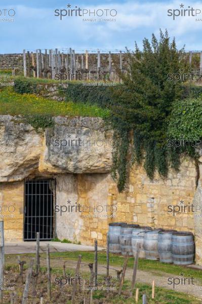 GIRONDE (33), SAINT-EMILION, CHATEAU BEL AIR MONANGE, VIGNE PLANTEE SUR LE ROCHER CALCAIRE ET CARRIERE DE PIERRE,  GRAND CRU CLASSE A , AOC SAINT EMILION, VIGNOBLE DE BORDEAUX // FRANCE, GIRONDE (33), SAINT-EMILION, CHATEAU BEL AIR MONANGE, VINEYARD PLANT ON THE LIMESTONE ROCK AND PIERRE QUARRY, GRAND CRU CLASS A, AOC SAINT EMILION, BORDEAUX VINEYARD (210318JBNadeau_034.jpg)