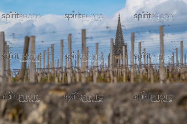 GIRONDE (33), SAINT-EMILION, VILLAGE DE SAINT-EMILION, L' EGLISE COLLEGIALE, LE CLOCHER DE L' EGLISE MONOLITHE DANS LE VIGNOBLE // FRANCE, GIRONDE (33), SAINT-EMILION, VILLAGE OF SAINT-EMILION, THE COLLEGIAL CHURCH, THE TOWER OF THE MONOLITH CHURCH IN THE VINEYARD (210318JBNadeau_040.jpg)