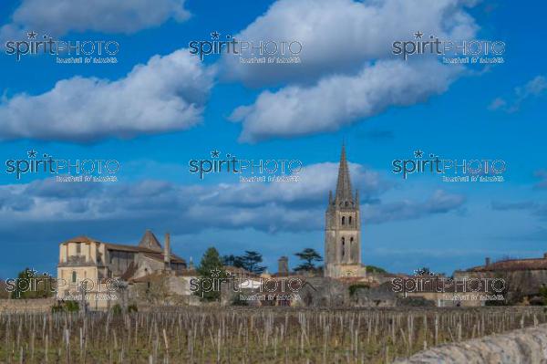 GIRONDE (33), SAINT-EMILION, VILLAGE DE SAINT-EMILION, L' EGLISE COLLEGIALE, LE CLOCHER DE L' EGLISE MONOLITHE DANS LE VIGNOBLE // FRANCE, GIRONDE (33), SAINT-EMILION, VILLAGE OF SAINT-EMILION, THE COLLEGIAL CHURCH, THE TOWER OF THE MONOLITH CHURCH IN THE VINEYARD (210318JBNadeau_042.jpg)