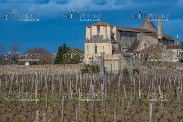 GIRONDE (33), SAINT-EMILION, VILLAGE DE SAINT-EMILION, L' EGLISE COLLEGIALE, LE CLOCHER DE L' EGLISE MONOLITHE DANS LE VIGNOBLE // FRANCE, GIRONDE (33), SAINT-EMILION, VILLAGE OF SAINT-EMILION, THE COLLEGIAL CHURCH, THE TOWER OF THE MONOLITH CHURCH IN THE VINEYARD (210318JBNadeau_043.jpg)