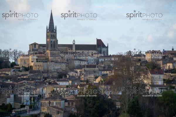 GIRONDE (33), SAINT-EMILION, VILLAGE DE SAINT-EMILION, L' EGLISE COLLEGIALE, LE CLOCHER DE L' EGLISE MONOLITHE DANS LE VIGNOBLE // FRANCE, GIRONDE (33), SAINT-EMILION, VILLAGE OF SAINT-EMILION, THE COLLEGIAL CHURCH, THE TOWER OF THE MONOLITH CHURCH IN THE VINEYARD (210318JBNadeau_046.jpg)