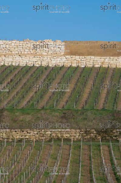 GIRONDE (33), SAINT-EMILION, CHANTIER DE TERRASSEMENT ET DE PREPARATION DE SOL AVANT LA PLANTATION DE LA VIGNE, VIGNOBLE SILVIO DENZ, CHATEAU PEBY_FAUGERES, GRAND CRU CLASSE DE SAINT-EMILION, VIGNOBLE DU BORDELAIS // FRANCE, GIRONDE (33), SAINT-EMILION, EARTHWORKING AND SOIL PREPARATION SITE BEFORE VINEYARD PLANTING, SILVIO DENZ VINEYARD, CHATEAU PEBY-FAUGERES, GRAND CRU CLASSE DE SAINT-EMILION, BORDEAUX VINEYARD (210318JBNadeau_059.jpg)