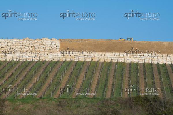 GIRONDE (33), SAINT-EMILION, CHANTIER DE TERRASSEMENT ET DE PREPARATION DE SOL AVANT LA PLANTATION DE LA VIGNE, VIGNOBLE SILVIO DENZ, CHATEAU PEBY_FAUGERES, GRAND CRU CLASSE DE SAINT-EMILION, VIGNOBLE DU BORDELAIS // FRANCE, GIRONDE (33), SAINT-EMILION, EARTHWORKING AND SOIL PREPARATION SITE BEFORE VINEYARD PLANTING, SILVIO DENZ VINEYARD, CHATEAU PEBY-FAUGERES, GRAND CRU CLASSE DE SAINT-EMILION, BORDEAUX VINEYARD (210318JBNadeau_060.jpg)