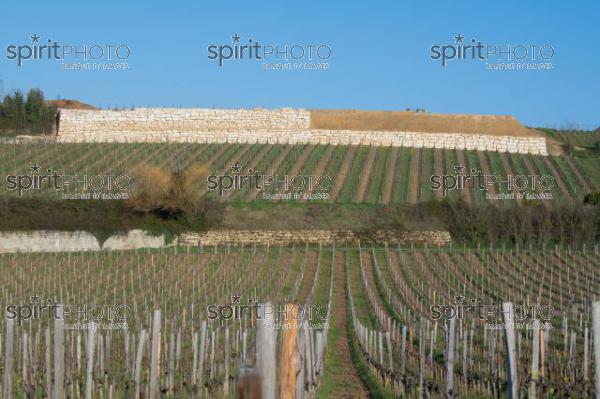 GIRONDE (33), SAINT-EMILION, CHANTIER DE TERRASSEMENT ET DE PREPARATION DE SOL AVANT LA PLANTATION DE LA VIGNE, VIGNOBLE SILVIO DENZ, CHATEAU PEBY_FAUGERES, GRAND CRU CLASSE DE SAINT-EMILION, VIGNOBLE DU BORDELAIS // FRANCE, GIRONDE (33), SAINT-EMILION, EARTHWORKING AND SOIL PREPARATION SITE BEFORE VINEYARD PLANTING, SILVIO DENZ VINEYARD, CHATEAU PEBY-FAUGERES, GRAND CRU CLASSE DE SAINT-EMILION, BORDEAUX VINEYARD (210318JBNadeau_061.jpg)