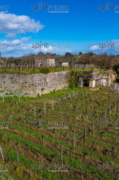 GIRONDE (33), SAINT-EMILION, CHATEAU AUSONE, VIGNE PLANTEE SUR LE ROCHER CALCAIRE ET LA CHAPELLE DES ANGES GARDIENS, 13 EME SIECLE, STYLE ROMAN, 1 ER GRAND CRU CLASSE A , AOC SAINT EMILION, VIGNOBLE DE BORDEAUX // FRANCE, GIRONDE (33), SAINT-EMILION, CHATEAU AUSONE, VINEYARD PLANT ON THE LIMESTONE ROCK AND THE CHAPEL OF THE GUARDIAN ANGELS, 13TH CENTURY, ROMAN STYLE, 1 ER GRAND CRU CLASSE A, AOC SAINT EMILION, BORDEAUX VINEYARD (210318JBNadeau_070.jpg)