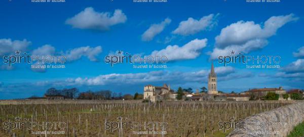 GIRONDE (33), SAINT-EMILION, VILLAGE DE SAINT-EMILION, L' EGLISE COLLEGIALE, LE CLOCHER DE L' EGLISE MONOLITHE DANS LE VIGNOBLE // FRANCE, GIRONDE (33), SAINT-EMILION, VILLAGE OF SAINT-EMILION, THE COLLEGIAL CHURCH, THE TOWER OF THE MONOLITH CHURCH IN THE VINEYARD (210318JBNadeau_076.jpg)