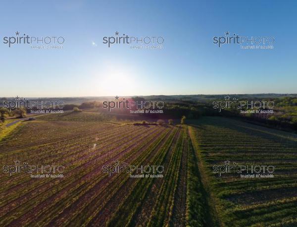 GIRONDE (33), OMET, VUE AERIENNE DU VIGNOBLE BORDELAIS AU PRINTEMPS DANS L'ENTRE DEUX MERS //  FRANCE, GIRONDE (33), OMET, AERIAL VIEW OF THE BORDEAUX VINEYARD IN SPRING IN THE BETWEEN TWO SEAS (210426JBNADEAU_002.jpg)