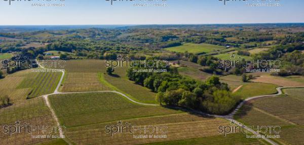 GIRONDE (33), OMET, VUE AERIENNE DU VIGNOBLE BORDELAIS AU PRINTEMPS DANS L'ENTRE DEUX MERS //  FRANCE, GIRONDE (33), OMET, AERIAL VIEW OF THE BORDEAUX VINEYARD IN SPRING IN THE BETWEEN TWO SEAS (210426JBNADEAU_004.jpg)