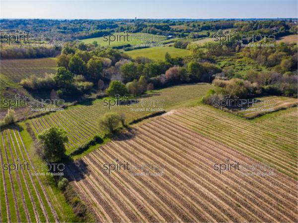 GIRONDE (33), OMET, VUE AERIENNE DU VIGNOBLE BORDELAIS AU PRINTEMPS DANS L'ENTRE DEUX MERS //  FRANCE, GIRONDE (33), OMET, AERIAL VIEW OF THE BORDEAUX VINEYARD IN SPRING IN THE BETWEEN TWO SEAS (210426JBNADEAU_009.jpg)