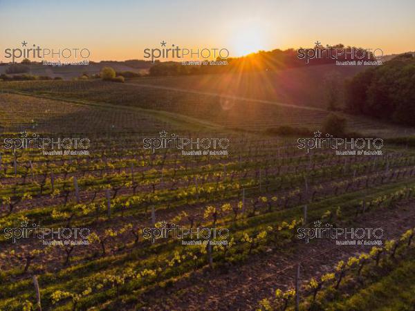 GIRONDE (33), OMET, VUE AERIENNE DU VIGNOBLE BORDELAIS AU PRINTEMPS DANS L'ENTRE DEUX MERS //  FRANCE, GIRONDE (33), OMET, AERIAL VIEW OF THE BORDEAUX VINEYARD IN SPRING IN THE BETWEEN TWO SEAS (210426JBNADEAU_016.jpg)