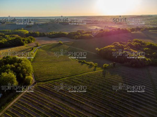 GIRONDE (33), OMET, VUE AERIENNE DU VIGNOBLE BORDELAIS AU PRINTEMPS DANS L'ENTRE DEUX MERS //  FRANCE, GIRONDE (33), OMET, AERIAL VIEW OF THE BORDEAUX VINEYARD IN SPRING IN THE BETWEEN TWO SEAS (210426JBNADEAU_019.jpg)