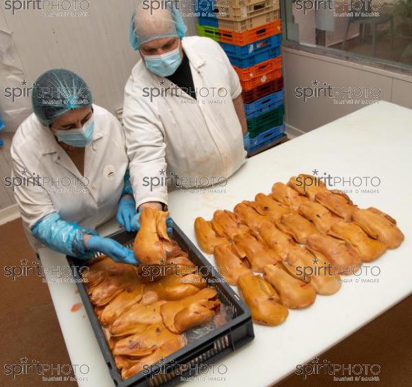 GIRONDE (33), AUROS, COOPERATIVE AGRICOLE PALMAGRI, FOIE GRAS DE CANARD FERMIER ELEVES EN PLEIN AIR. CANARD ELEVE AU MAIS JAUNE.// FRANCE, GIRONDE (33), AUROS, AGRICULTURAL COOPERATIVE PALMAGRI, FARM DUCK FOIE GRAS FARMED OUTDOOR. DUCK BREED IN YELLOW CORN. (211129JBNadeau_008.jpg)