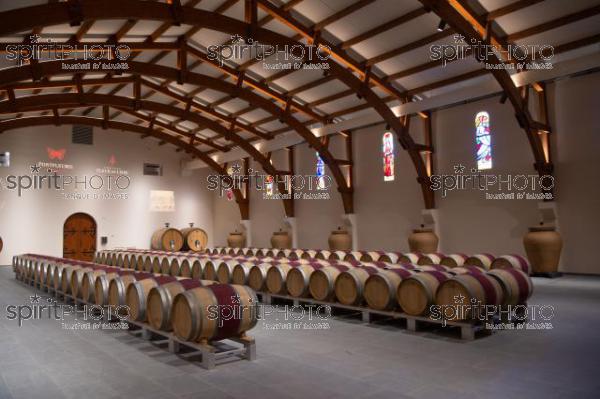 France, Gironde, Saint-Etienne-de-Lisse, Chai à barriques et amphores du Château Fleur de Lisse, Vignobles Jade, Saint-Emilion Grand Cru, Vignoble Bordelais (220427_Cephas_18.jpg)