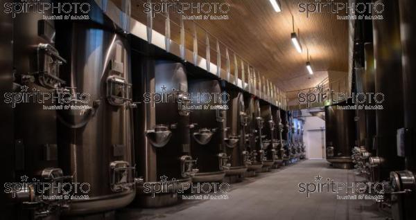 France, Gironde, Saint-Etienne-de-Lisse, Cuves en inox irisé du fabricant Defranceschi au Château Fleur de Lisse, Vignobles Jade, Saint-Emilion Grand Cru, Vignoble Bordelais (220427_Cephas_28.jpg)